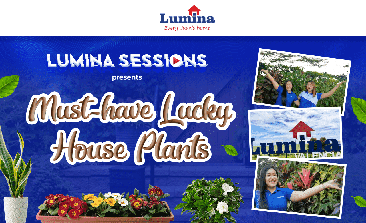 Lucky House Plants House for Sale Near Me Lumina Homes