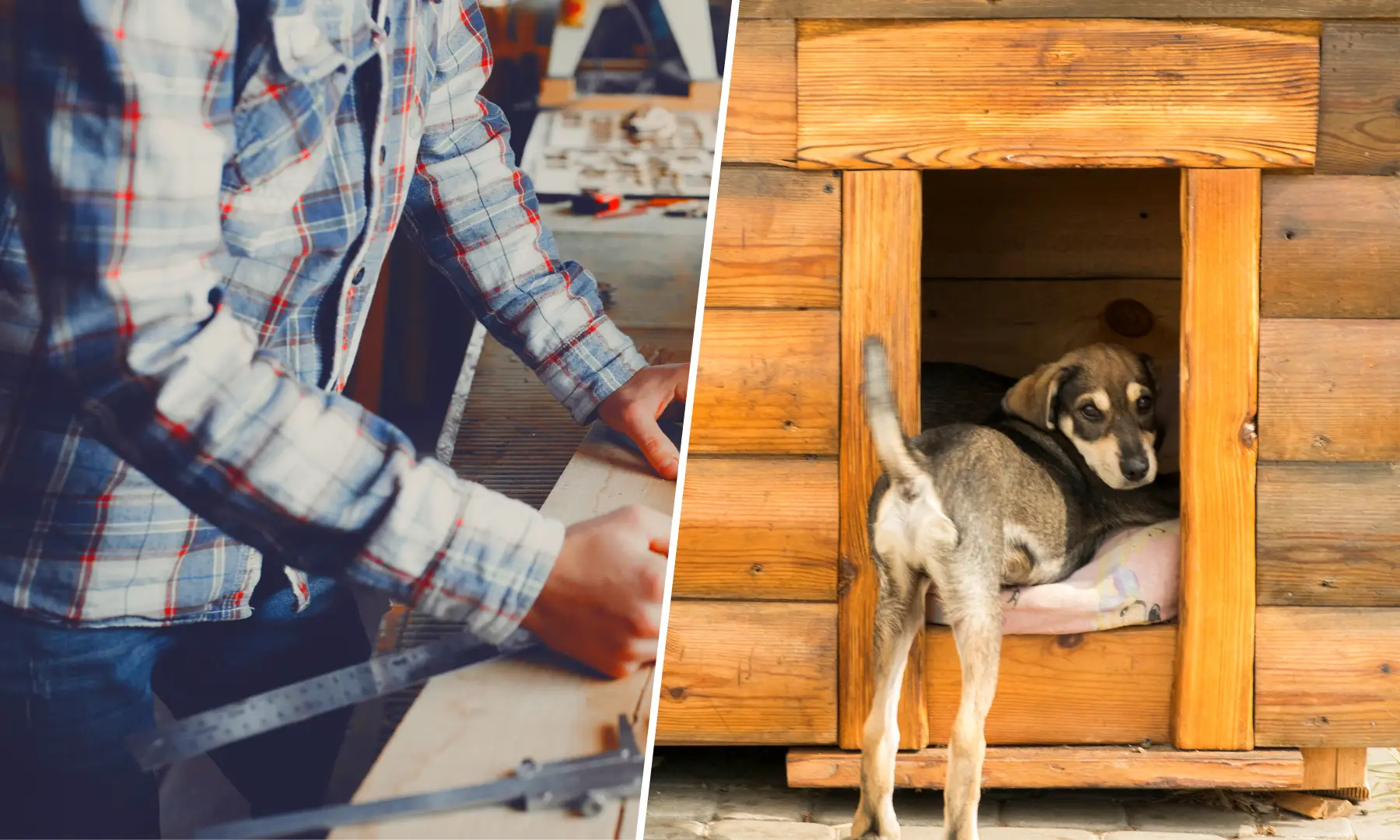 diy-dog-house-how-to-build-one-for-your-furry-friend-lumina-homes