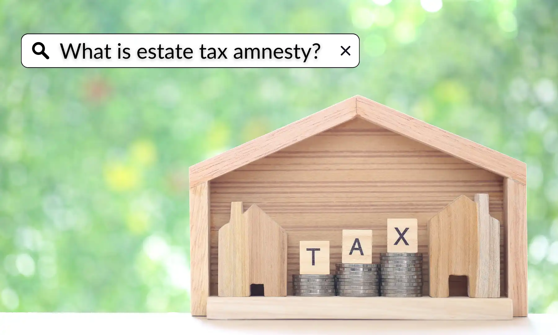 Estate Tax Amnesty &Things You Need to Know Lumina Homes